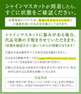 品質厳選！玉張りシャインマスカット1.3kg(2～3房)1～2名様向け（KKK）B12-830