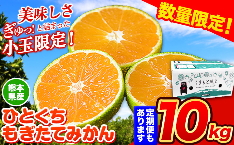 【先行予約】 今だけ！ 増量中！ 先行予約 みかん ひとくちもぎたて みかん 約10kg (10kg×1箱) S-3Sサイズ 訳あり ご家庭用 熊本県産 （荒尾市産含む） ちょっと訳あり 期間限定 フルーツ 秋 旬 柑橘 小玉 みかん《2023年9月下旬-10月下旬頃より順次出荷》