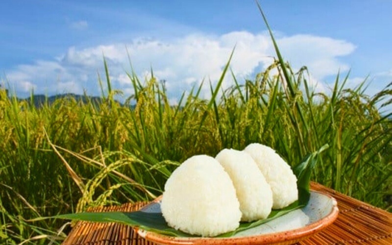 ＜定期便全6回＞ 令和7年新米 真庭市産 ひとめぼれ 無洗米 10kg(5kg×2袋)×6回 / お米 岡山県 米 ひとめぼれ 人気 2025年産 【tkns-tkb011】 10kg(5kg×2袋)