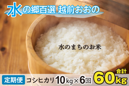【令和5年産】【6ヶ月定期便】こしひかり 10kg×6回 計60kg【白米】「エコファーマー米」水のまちのお米 [H-003002]