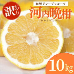 【ふるさと納税】 木成り 追熟 訳あり 河内晩柑 約10kg 柑橘 フルーツ 果物 蜜柑 みかん くだもの mikan 家庭用 傷 不揃い サイズミックス かわち ばんかん かんきつ 和製 グレープフルーツ デザート 甘い ジューシー国産 農園 直送 産地 直送 エニシトラス 愛媛県 愛南町