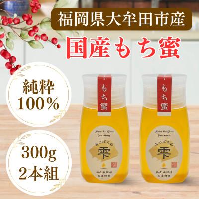 ふるさと納税 大牟田市 みつばちの雫　国産もち蜂蜜　300g×2　
