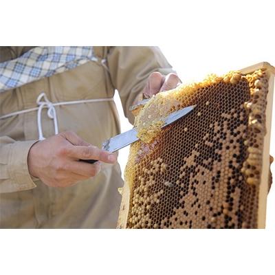 ふるさと納税 大垣市 【国産蜂蜜】はちみつ食べ比べセット450g2本(とち蜂蜜、百花蜂蜜) |  | 02