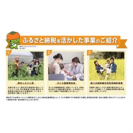 【返礼品なし】和歌山県橋本市への応援寄附金(5,000円分)
