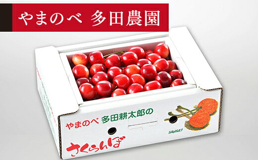 【ふるさと納税】 《先行予約》2027年 山形県産 紅さやか バラ詰め(パック）500g M~L やまのべ多田耕太郎のさくらんぼ サクランボ 送料無料 F21A-393