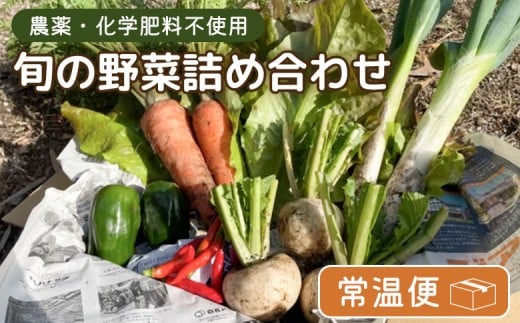 【農薬・化学肥料不使用】旬の野菜詰め合わせ（常温便）