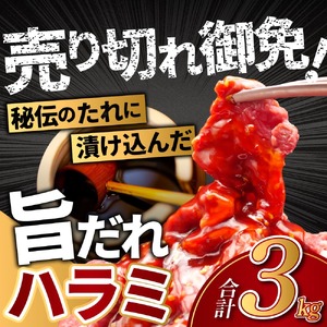 旨だれハラミ 3kg 牛肉 選べる発送時期 容量 牛肉 肉 牛 濃厚 旨味 便利 小分け お肉 牛肉 ハラミ 牛ハラミ 冷凍 送料無料 近藤精肉店