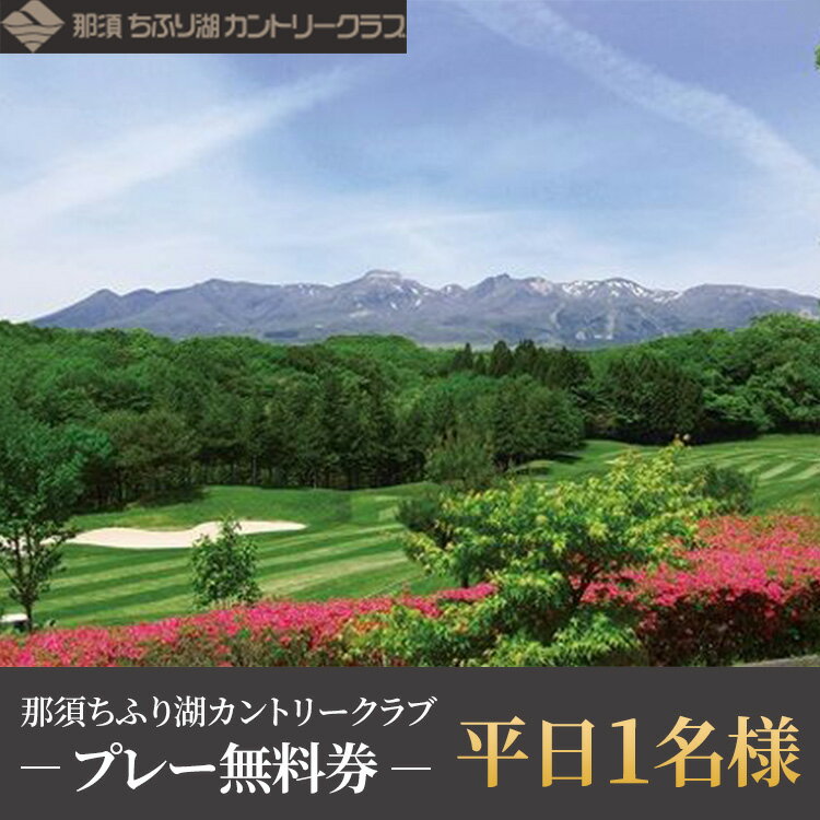 【ふるさと納税】那須ちふり湖カントリークラブ　平日1名様プレー無料券 チケット ゴルフ プレー券 施設利用券 〔C-29〕