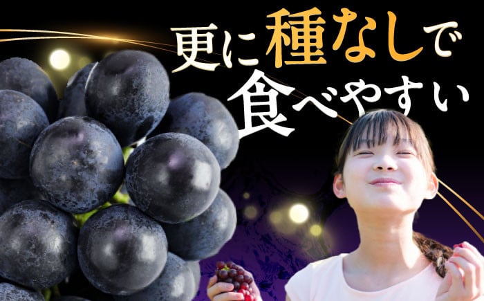 ぶどう ブドウ ぴおーね ピオーネ 葡萄 フルーツ 果物 大粒 種なし くだもの 