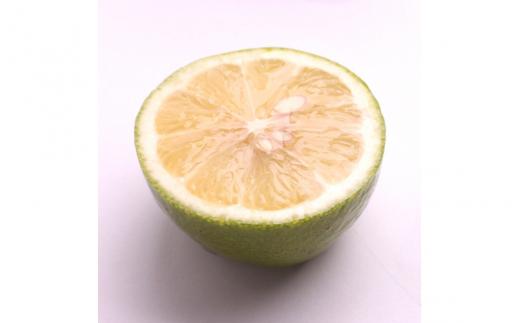 家庭用 黒潮レモン 7.5kg+250g（傷み補償分）【和歌山有田産】【防腐剤・WAX不使用、安心の国産レモン】【わけあり・訳ありレモン】 ※北海道・沖縄・離島への配送不可 / フルーツ くだもの 果物 柑橘 和歌山 レモン果汁【ikd243】
