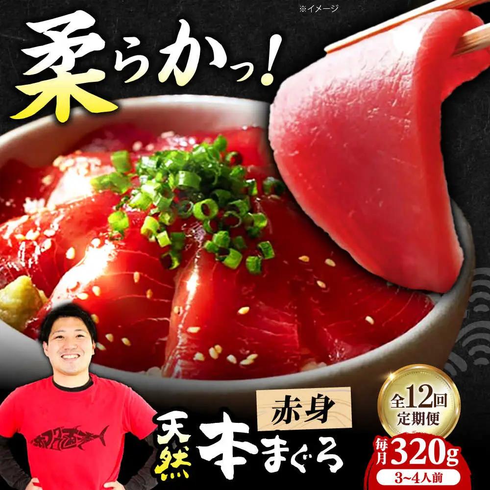 【全12回定期便】たね熟天然本まぐろ赤身(320g)[AOCE015]マグロ