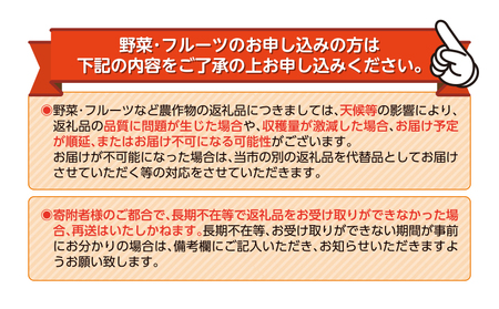 【価格改定予定】【予約受付】 訳あり 西浦 レモネード 5kg 西浦 蜜柑 柑橘 オレンジ 減農薬 木負観光みかん園 （ 訳ありレモネード レモネード訳あり品 訳あり品 西浦レモネード 沼津レモネード