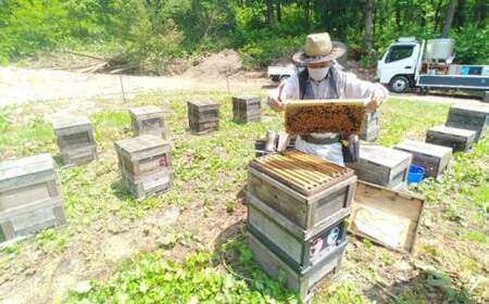 純粋はちみつ3本セット（アカシア・とち・百花）山形県飯豊町産蜂蜜