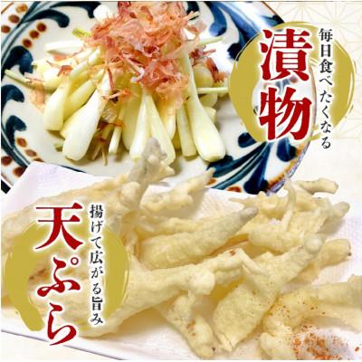 ふるさと納税 糸満市 【畑人市場】 土付き 生 島らっきょう 約5kg |  | 02