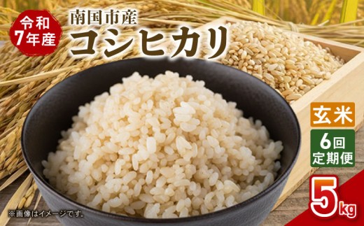 【6回定期便】令和7年度 南国市産 コシヒカリ 玄米 5㎏ | 数量限定 米 コメ お米 ご飯 おにぎり こめ 弁当 高知県 南国市