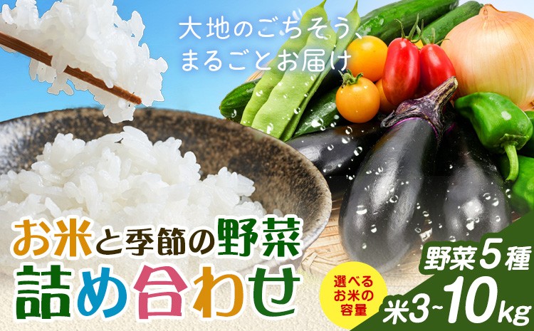 
                  米 野菜 詰め合わせ 季節の野菜 きぬむすめ ひのひかり おまかせ 選べる内容量 米3kg+野菜5種 米5kg+野菜5種 米10kg+野菜5種 ありがとう園《30日以内に出荷予定(土日祝除く)》岡山県 矢掛町 お米 白米 旬の野菜
                