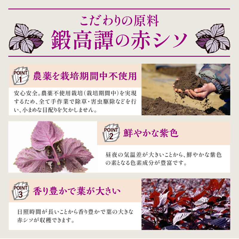 鍛高譚(たんたかたん)[1800ml]【4本セット】