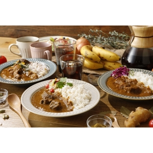 【ギフト仕様】妊婦さんたちのために野菜とフルーツで作ったカレー ビーフ・ポーク・チキン 合計12食セット【092C-002】