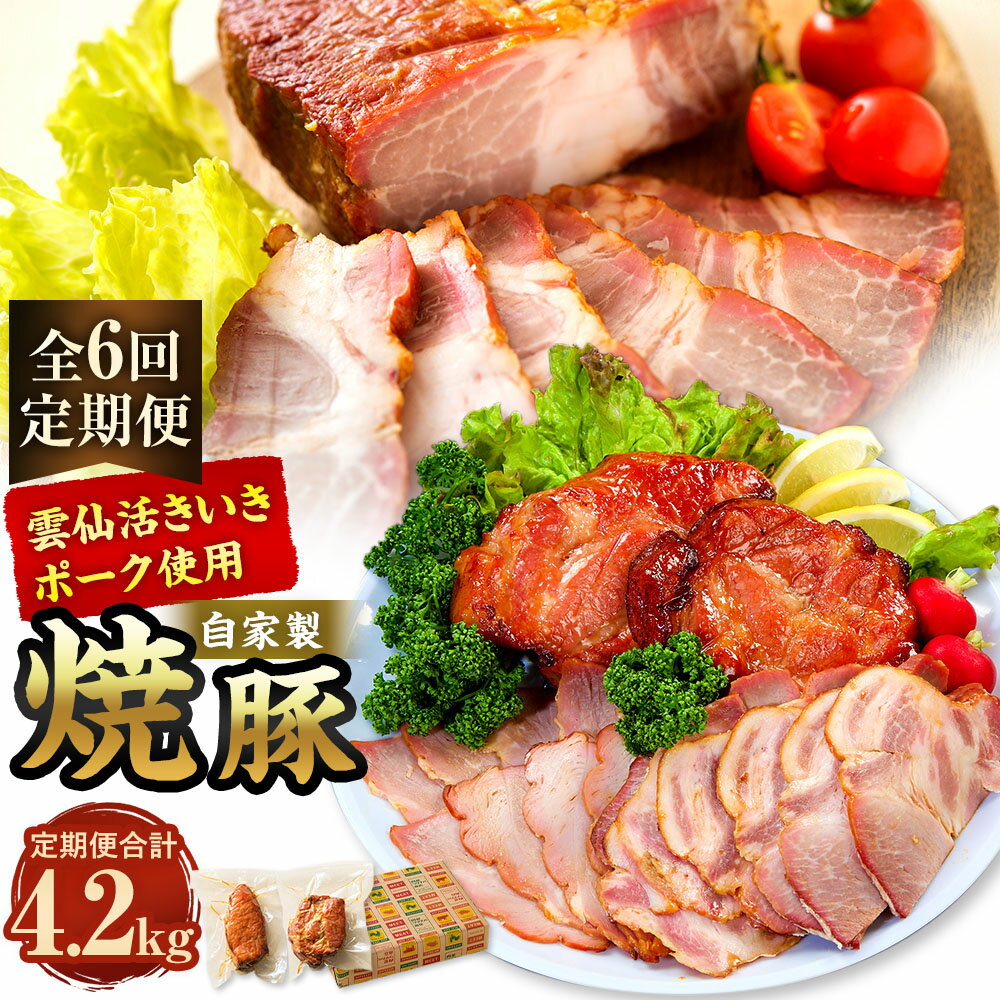 【ふるさと納税】【全6回定期便】自家製焼豚 計700g（350g×2個） セット 化粧箱入り 計4.2kg チャーシュー 豚肉 お肉 タレ 醤油 生姜 ニンニク 惣菜 冷蔵 長崎県産 国産 九州 長崎県 長崎市 送料無料