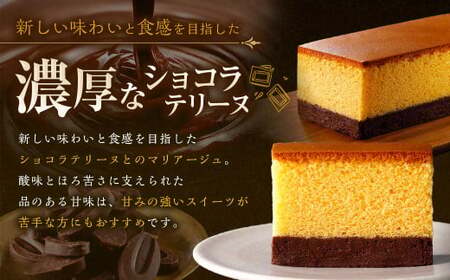 【全6回定期便】長崎カステリーヌショコラ 1本 合計6本 ／ スイーツ デザート カステラ おかし 菓子 おやつ チョコレート ショコラ テリーヌ ご当地スイーツ かすてら テリーヌ 長崎県 長崎市