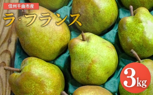 【2026年先行予約】洋梨 ラ・フランス 約3kg｜ ラフランス 洋梨 果物フルーツ デザート 千曲市 長野県産 信州