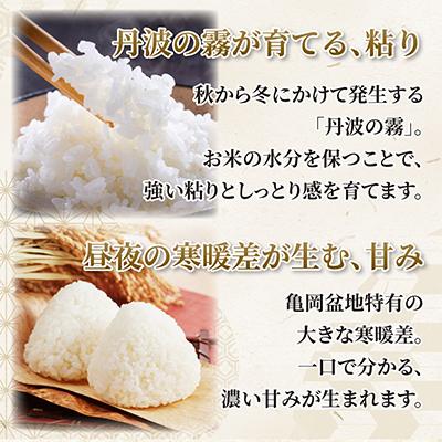 ふるさと納税 亀岡市 【令和7年産】産地直送 京都丹波産コシヒカリ 10kg 精米したてのお米をお届け |  | 02