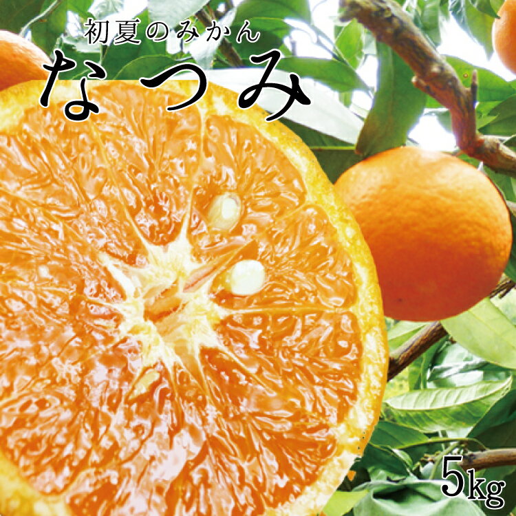 【ふるさと納税】 初夏のみかん なつみ5kg【予約】※2027年4月中旬頃〜2027年4月下旬頃に順次発送予定(お届け日指定不可)