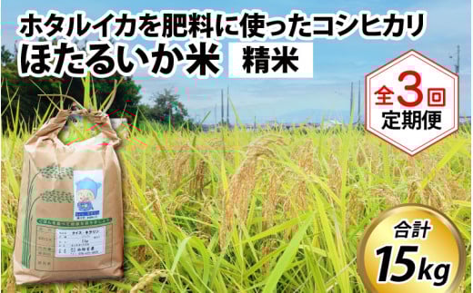 ほたるいか米（精米５kg）×3回 計15kg【3ヶ月定期便】 令和7年産 訳あり 米 コシヒカリ こしひかり 頒布会 産直 ほたるいか ホタルイカ お米 ブランド米 富山 滑川 農家直送 お米 おこめ こしひかり ホタルイカ 蛍烏賊 富山県 滑川市 コンシェルジュ 訳あり kome 5キロ ごはん おにぎり