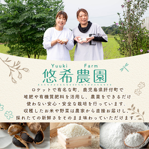 【A93003】令和7年産 鹿児島県産 なつほのか そら米 (計5kg・5kg×1袋) 第9回九州のお米食味コンクール 金賞受賞 ! 国産 国産米 産地直送 自家精米 精米 白米 ごはん ご飯 お米 