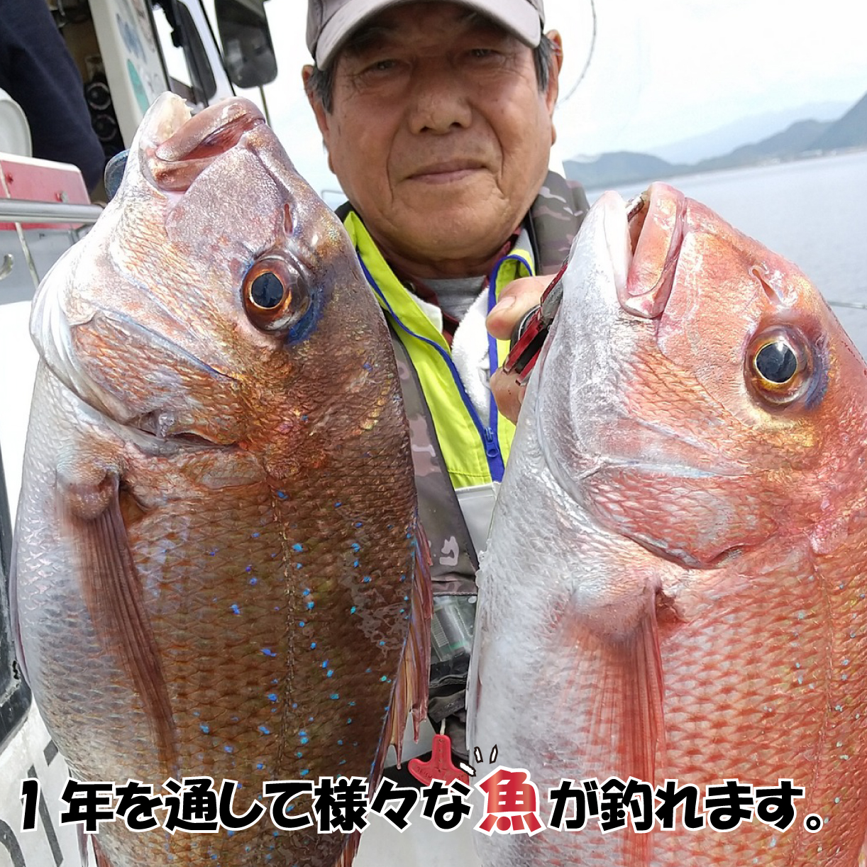 魚磯丸 釣り 半日 乗船券 1名様 沼津