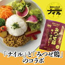 【ふるさと納税】博多の名店ナイル　みつせ鶏キーマカレー10パックセット（DR002）