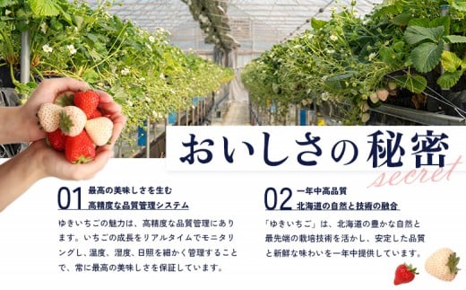 【12月以降、随時発送！】【北海道産】ゆきいちご（ゆきぼたん/すず）赤白ＭＩＸ×２Ｐセット 250g×2　計500g