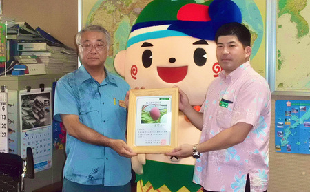 【2024年発送】マンゴーの拠点産地「宜野座村」のアップルマンゴー（家庭用）（1.5kg）