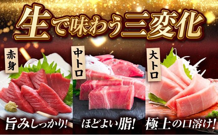 マグロ まぐろ 生食 刺身 さしみ セット 海鮮 魚介 養殖マグロ 養殖まぐろ 養殖 冷蔵 赤身 大トロ 中トロ 高級