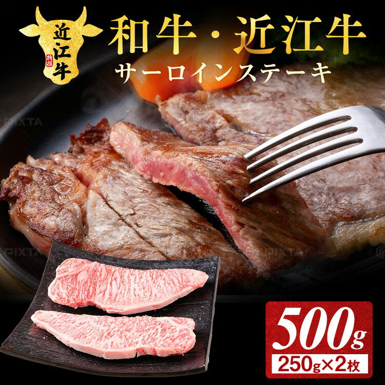 【ふるさと納税】肉 牛肉 近江牛 サーロイン ステーキ 500g ( 250g × 2枚 )