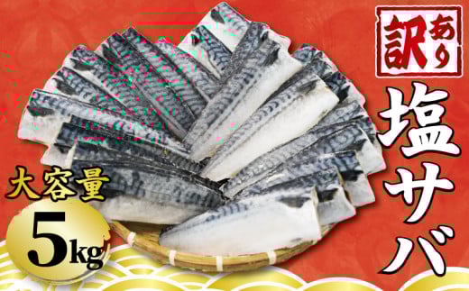 訳あり 塩さば フィーレ 選べる容量 約5kg 鯖 さば 塩鯖 フィレ 魚介類 魚 魚貝 魚介 海鮮 人気 冷凍 大容量 冷凍食品 おつまみ 酒 さけ おかず 惣菜 弁当 不揃い 規格外 訳アリ 訳有 傷 グルメ お取り寄せ 贈答 贈物 プレゼント 贈り物 長期保存 ギフト 小分け ふるさと納税 ふるさと納税鯖 送料無料 千葉県 銚子市 銚子東洋