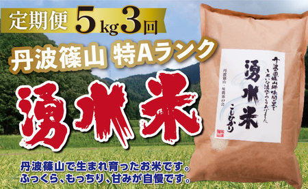 定期便 お米 特A 湧水米コシヒカリ【 5kg 3回 】定期便