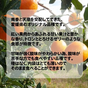 愛媛 まどんな 3kg みかん サイズミックス 18000円 愛果28号 紅まどんな 同品種 あいか アイカ 高級 人気 ブランド 柑橘 果物 フルーツ 数量限定 期間限定 産地直送 国産 農家直送 