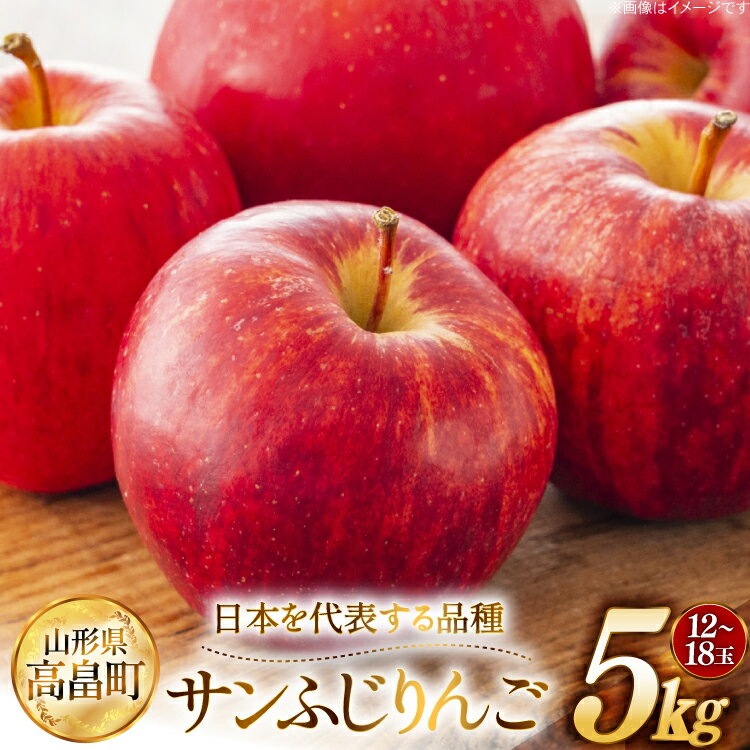 【ふるさと納税】【期間限定発送】 りんご 高畠町産 サンふじ りんご 12～18玉 計 5kg [JA山形おきたま 山形県 高畠町 tk06ays870040] 果物 くだもの フルーツ 林檎 リンゴ ふじ ふじりんご 産地直送