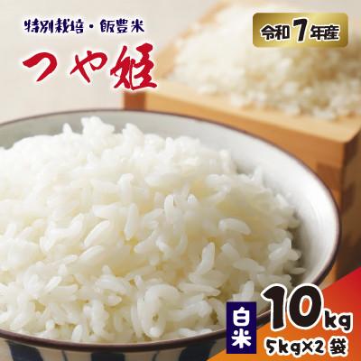ふるさと納税 飯豊町 飯豊米　つや姫　白米10kg(精米)令和7年産