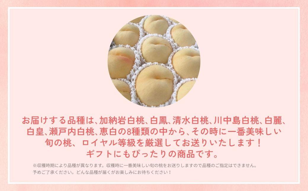 ＜数量限定＞［なんばふぁーむ］岡山県産 旬の桃 1.5kg（4～6玉）[ギフト用]【2026年発送】039-a003