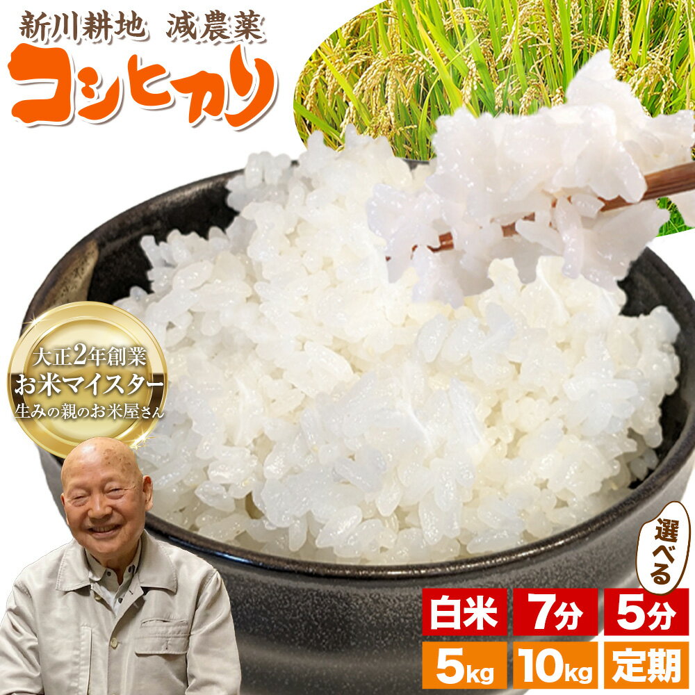 【ふるさと納税】コシヒカリ 米 5kg 10kg 新川耕地 白米 5分搗き 7分搗き 単発 定期便 千葉県 流山市 送料無料 米 こめ ごはん 定期便 もあります