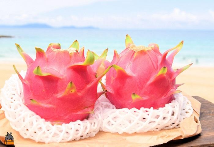 ～ルビーの輝き～プレミアムドラゴンフルーツ“徳之島宝赤（ほうせき）”（1kg～1.5kg） （ ドラゴンフルーツ 果物 フルーツ 南国 ピタヤ 太陽 美容 健康 徳之島 奄美 鹿児島 世界自然遺産 こ