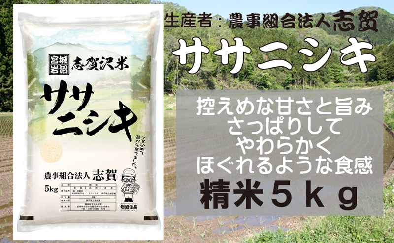 【令和7年産新米】米 ササニシキ 5kg 志賀沢米 岩沼産 お米 白米 精米 ブランド米 単一原料米 5キロ こめ コメ おこめ ご飯 ライス ささにしき 宮城県産ササニシキ 東北 宮城県産 宮城米 宮城 宮城県 岩沼市