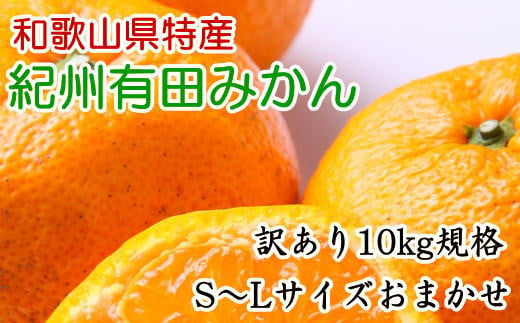 [訳あり規格]和歌山有田みかん10kg（S～Lサイズおまかせ）※2025年11月中旬～2026年1月中旬頃順次発送【tec830A】