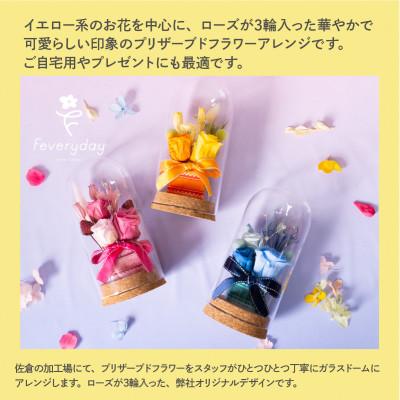 ふるさと納税 佐倉市 プリザーブドフラワーローズドーム イエロー系 お祝いやお誕生日におすすめ |  | 01