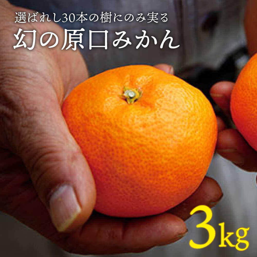 【ふるさと納税】レビューキャンペーン！【年内配送/12月上旬より配送】 幻の 原口みかん 約3kg＜原口果樹園＞[CCW004] 長崎 西海 みかん 蜜柑 原口みかん 柑橘 幻 甘い 高級 贈答 ギフト