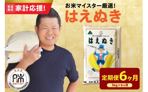 【6ヶ月定期便】 令和7年産 はえぬき 5kg × 6回 計30kg 2025年産 精米 米 白米 ブランド米 お米マイスター 厳選 送料無料 山形県 米沢市