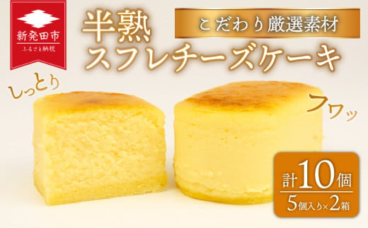 半熟スフレ チーズケーキ10個 5個入り 2箱 贈答 ギフト おすすめ 菜菓亭 新潟銘菓 新潟 新発田 いえい 菜菓亭 洋菓子 お歳暮 iei001_02