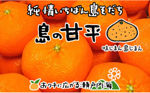 【2月中旬から発送予定】希望の島 ジャンボ甘平 特大（6L以上） 約1kg（2玉） 化粧箱入 愛媛県産 柑橘 みかん